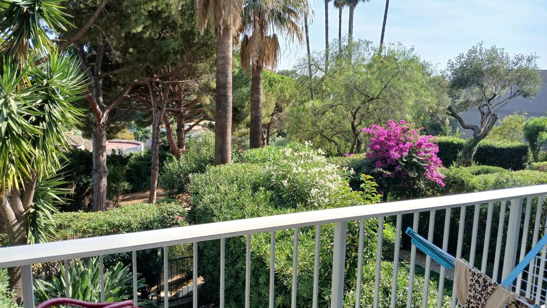 Apartmán Residence De Luxe Entouree D'Un Parc Et D'Une Piscine Olympique Roquebrune-Cap-Martin Francie